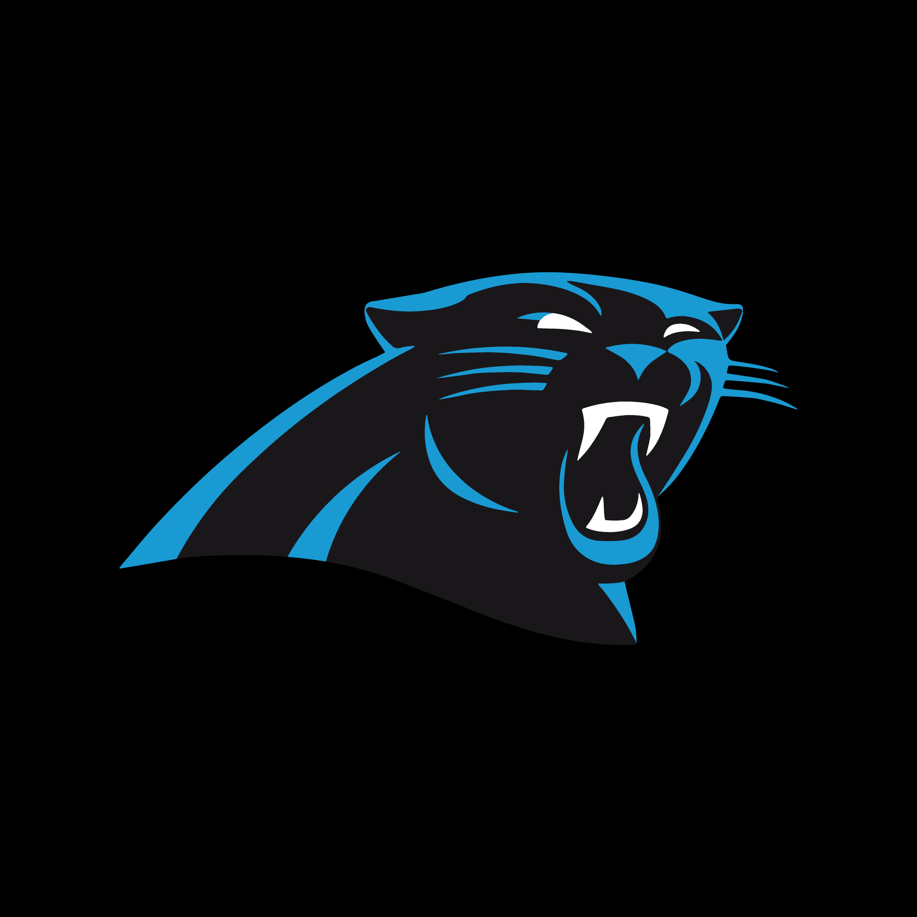 PYAA Football
